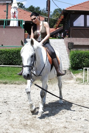 Pornstar Aletta Ocean is riding a horse outdoor in glasses 14897004