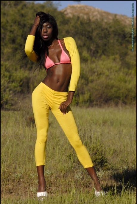 Ebony fitness model Tera Sims poses for a non-nude shoot in a field 32470813