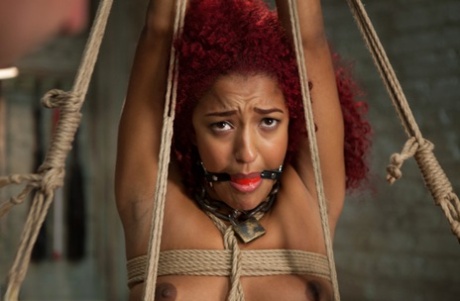 Black girl with curly red hair gets masturbated while in bondage 83096141