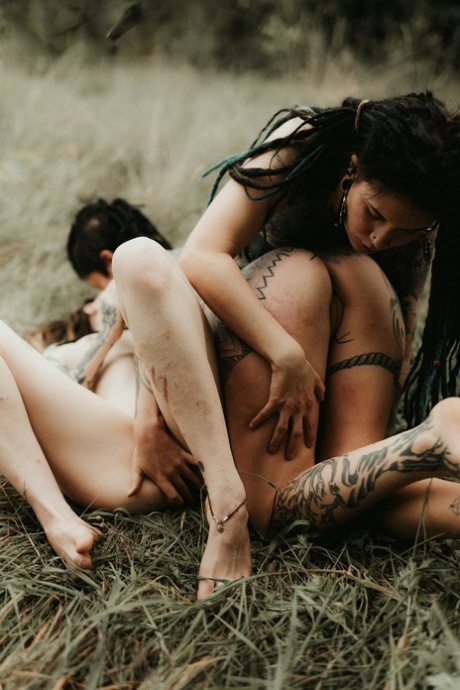 Three tattooed girls share lesbian kisses in long grass near a fir tree 48053646