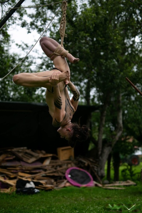 Naked girls are suspended from a backyard tree with block and tackle 94979238