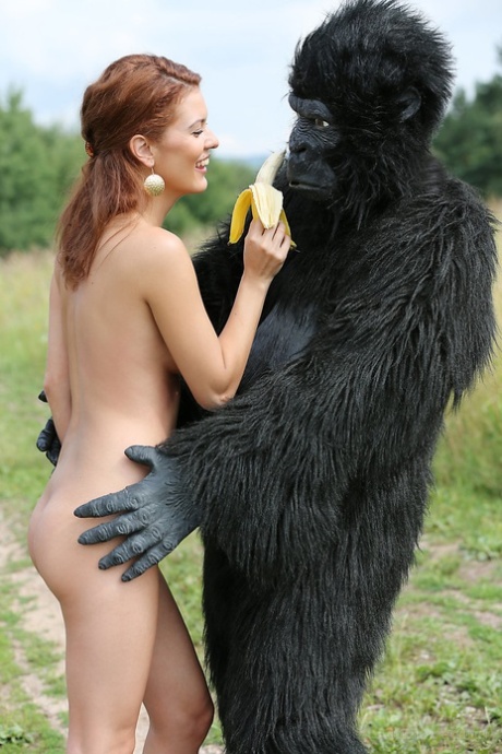 Gorilla nude